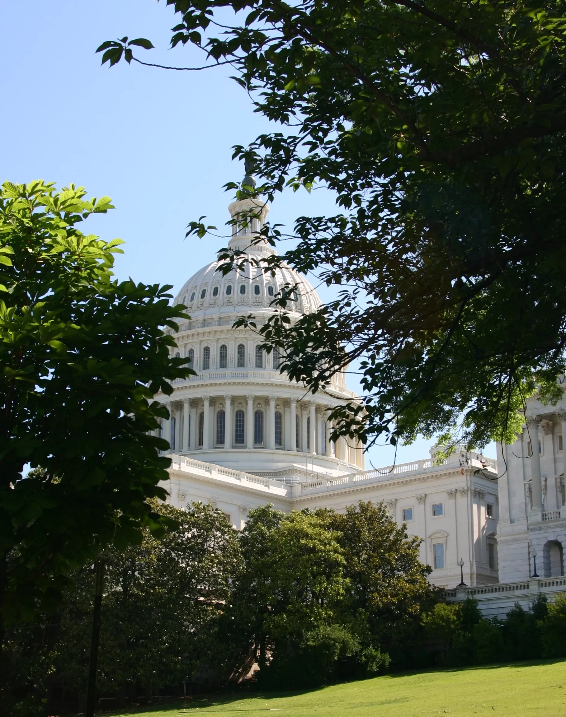 Capitol image
