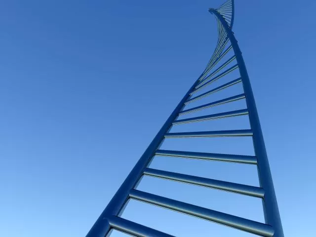 DNA Ladder